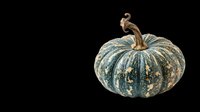 Decorative blue-green pumpkin with gold accents isolated on transparent background, ready for t-shirt designs, clipart, stickers, print-on-demand products, and sublimation projects.