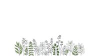 Botanical line art border with green and black herbs, leaves and wildflowers on white background for natural design projects and organic branding.