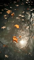 Magical autumn scene with golden maple leaves falling over dark reflective water surface, perfect for seasonal mood designs and nature photography projects.