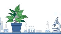 Laboratory workspace with green plant in pot among scientific glassware and microscope for research and experimentation in modern lab setting.