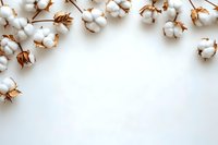 Cotton bolls arranged in decorative border frame on white background with copy space for natural organic textile and farming concepts.