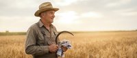 Senior Caucasian farmer in straw hat examining golden wheat crop in field during harvest season, holding grain samples with satisfied expression.