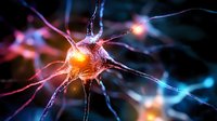 Neuron cell with glowing synapses and electrical impulses in brain network showing neural activity and connections for medical education and neuroscience research.