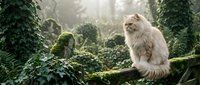 Fluffy long-haired cat sitting on moss-covered branch in misty forest surrounded by ivy and lush green vegetation, creating mystical woodland atmosphere.