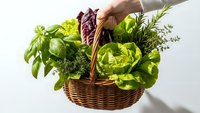 Hand holding wicker basket filled with fresh organic herbs and leafy greens including basil, lettuce, rosemary for healthy cooking and gardening.