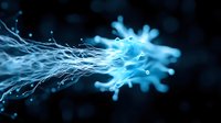 Glowing blue energy streams with light particles flowing in dark space, creating dynamic motion effect and ethereal atmosphere for technology backgrounds.