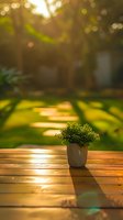 Small potted plant on wooden deck during golden hour sunset, with soft bokeh background and long shadows creating peaceful garden atmosphere.