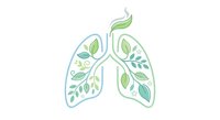 Healthy lungs filled with green leaves and natural elements representing clean air, respiratory wellness, and environmental health on white background.