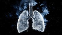 Smoky human lungs on dark background with smoke effect and particles. Medical concept showing dangers of smoking and respiratory health issues.