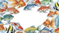 Colorful aquarium fish frame border with goldfish, koi, and tropical species creating decorative space for text or design elements on white background.