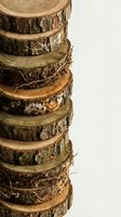 Stack of natural wood slices with bark edges showing tree rings and organic texture for rustic crafts and woodworking projects on white background.