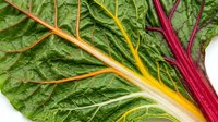 Vibrant rainbow chard leaves with colorful stems in yellow, orange, and deep red tones, isolated on white background for culinary and design projects.