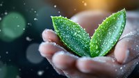 Fresh green leaves with morning dew drops held gently in open palms against dark background with bokeh lights, representing nature care and environmental protection.
