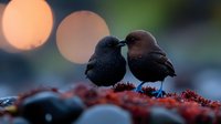 Two small birds silhouetted against blurred bokeh lights, perched close together on red autumn foliage at dusk, creating romantic nature atmosphere.