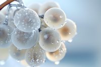 Frozen grapes covered in ice crystals hanging from vine branch with water droplets against soft blurred winter background for seasonal food photography.