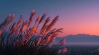 Pampas grass silhouettes swaying in gentle breeze against dramatic sunset sky with purple and pink hues over mountain landscape for nature backgrounds.