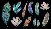 Feathers isolated on transparent background, ready for t-shirt design, clipart, stickers, sublimation and print-on-demand projects. Collection includes peacock, decorative and ornamental feather designs.
