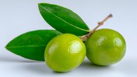 Fresh green limes with glossy leaves on branch against white background, natural organic citrus fruits for cooking, cocktails and beverages.