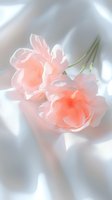 Delicate peach roses with soft petals resting on white silk fabric, creating an ethereal, dreamy atmosphere for wedding invitations or romantic designs.