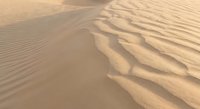 Golden sand dunes with rippled texture patterns created by wind erosion in arid desert landscape during warm sunlight for travel and nature backgrounds.