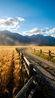 Golden wheat field with wooden fence leading to majestic mountain range under dramatic cloudy sky during harvest season in rural countryside landscape.
