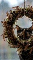 Tabby cat with striking amber eyes peering through moss-covered branch with dried ferns and green foliage in misty forest setting. Wildlife and nature photography.