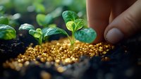 Young green sprout growing through golden fertilizer pellets in dark soil, with gentle hand tending to plant. Macro nature photography in soft light.