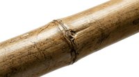 Wooden pole bound with natural twine rope, isolated on white background, suitable for rustic design, crafts, and construction projects.