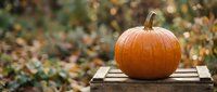 Orange pumpkin on wooden crate in autumn garden with colorful fallen leaves background for seasonal harvest decoration and fall holiday celebrations.