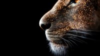 Close up macro shot of cat nose and whiskers covered with golden glitter particles on dark background, side view profile creating dramatic lighting effect.