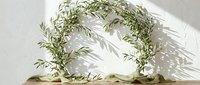 Fresh olive branch wreath with green leaves casting natural shadows on white surface for Mediterranean decor and organic styling projects.