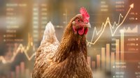 Brown hen with red comb against financial charts and upward trending graph, symbolizing growth, success, and market performance for business concepts.