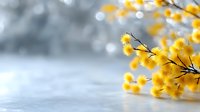 Bright yellow mimosa flowers on wooden surface with soft blurred background, spring seasonal decoration for International Women's Day celebration.