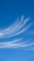 Wispy white cirrus clouds streak across brilliant blue sky creating natural patterns for weather and climate backgrounds.
