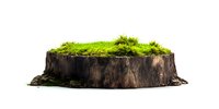 Old tree stump with vibrant green moss growing on top, isolated on white background for environmental or nature concepts.