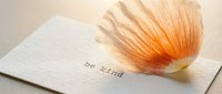 Delicate orange flower petal resting on a textured card with be kind typewriter text, soft warm light, mindfulness and kindness concept.