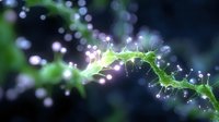 Glowing green vine with luminescent tendrils and magical light particles against dark background creates ethereal nature-inspired fantasy atmosphere.