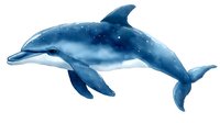 Watercolor dolphin swimming in starry ocean waters, marine life illustration with cosmic elements and dreamy blue tones, isolated on white background for creative projects.