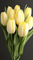 Fresh bouquet of pale yellow tulips with green stems against dark background, perfect for spring celebrations and floral designs.