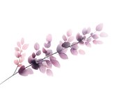 Delicate pink and purple watercolor branch with translucent leaves on white background, botanical art style illustration for wall decor and stationery design.