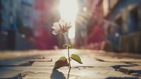 Single pink flower growing through crack in wooden deck boards, backlit by golden sunlight creating dreamy bokeh effect and lens flare, symbolizing hope and resilience.