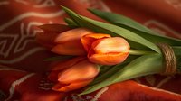 Orange tulip flowers with green leaves tied with twine string lying on red silk fabric with abstract pattern, romantic spring floral composition in warm tones.