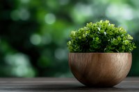 Small artificial green plant in wooden bowl on dark table against blurred natural bokeh background, modern minimalist home decor styling.