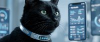 Black cat wearing a smart health monitoring collar with digital screens displaying pet health data in a futuristic veterinary setting.