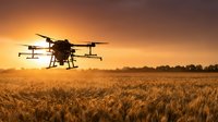 Agricultural drone spraying pesticide over wheat field at sunset, modern farming technology for crop protection and precision agriculture.