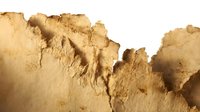 Torn and weathered kraft paper with jagged edges and creased texture, suitable for vintage design, scrapbooking, and artistic backgrounds.