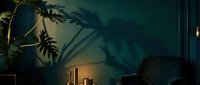 Moody dark teal interior with tropical monstera plant, dramatic leaf shadows on wall, golden candle holders, and velvet armchair in dim ambient light.
