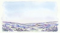 Lavender field landscape with rolling hills and wildflowers in soft watercolor style, suitable for backgrounds, wall art, and design projects.