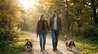 Young Caucasian couple walking basset hounds on a sunlit forest path in autumn, holding hands and smiling at each other.