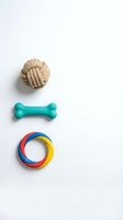 Colorful dog toys set with rope ball, rubber bone and ring on white background isolated for pet care design and training concepts.